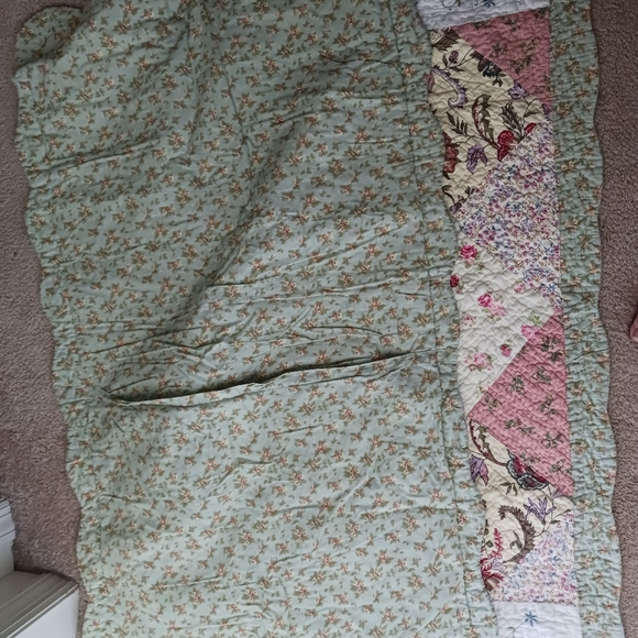 Cozy Line 2 king shams Tiffany Green - Picture 2 of 4